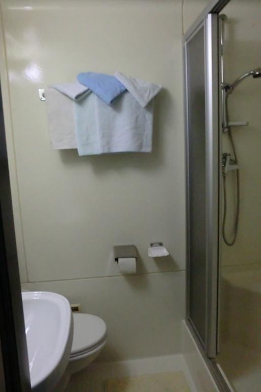 Weisses Roessl Werfen Hotel Екстериор снимка