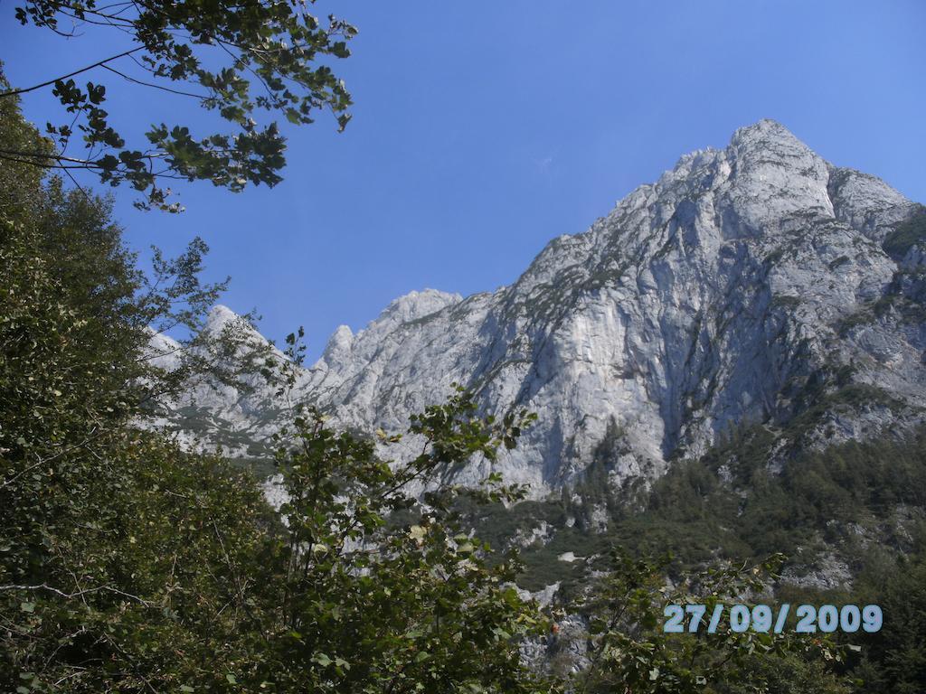 Weisses Roessl Werfen Hotel Екстериор снимка